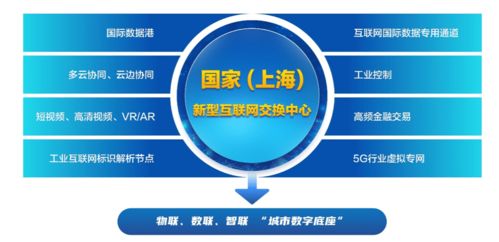 上海新型互聯(lián)網(wǎng)交換中心試點(diǎn)獲批 臨港新片區(qū)迎來(lái)數(shù)字基建新引擎